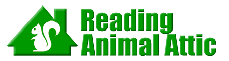 Reading Animal Attic